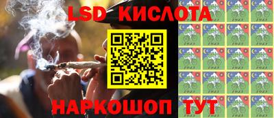PSILOCYBIN Шелехов