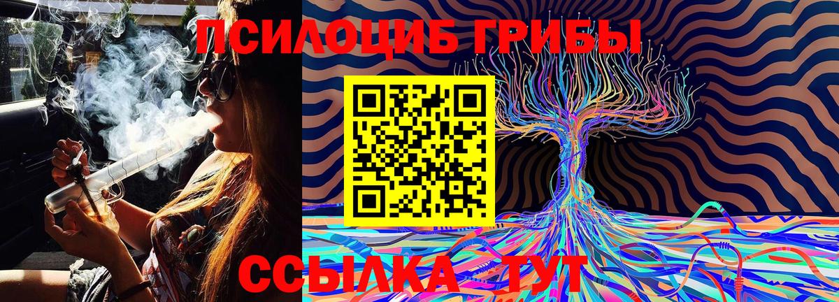 Галлюциногенные грибы MAGIC MUSHROOMS Таганрог