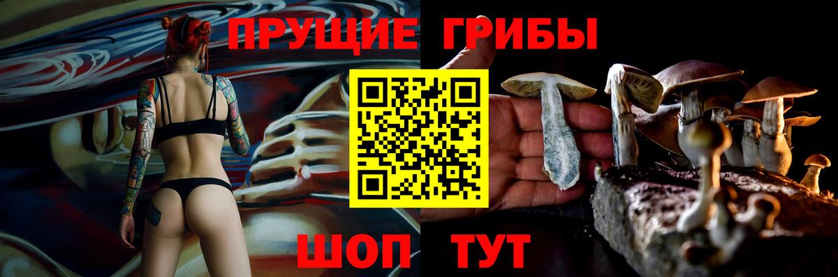 Галлюциногенные грибы MAGIC MUSHROOMS  Вход с VPN  Таганрог 